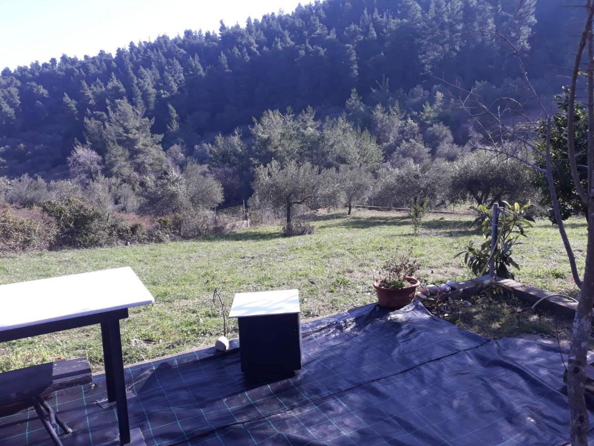 Wildherb House Agriovotano Extérieur photo