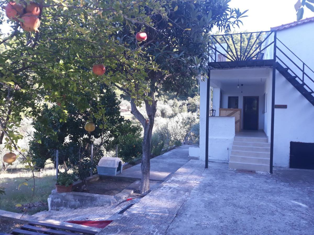 Wildherb House Agriovotano Extérieur photo